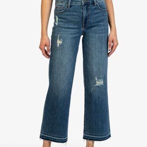 KUT FROM THE KLOTH Charlotte High Rise Fab Ab Wide Leg